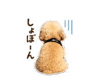 862942607