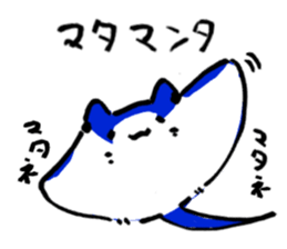 862942941