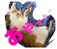 862943152
