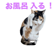 862944035