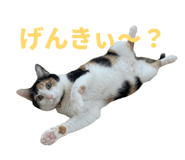 862944040