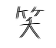 862944118