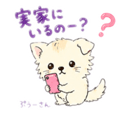 862944316