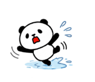 862944568