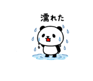 862944571