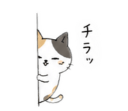 862944847
