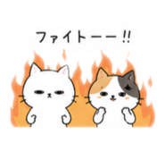 862944860