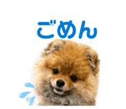 862945855