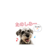 862945865