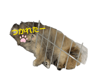 862945867