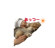 862945869