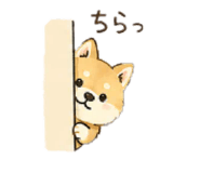 862945970