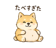 862945976