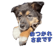 862964881