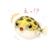 862966619