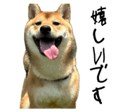 862966679