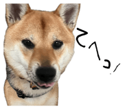 862966684