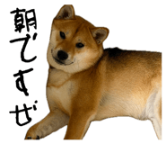 862966685