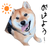 862966686