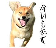 862966688