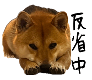 862966689