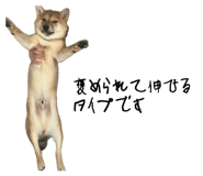 862966691