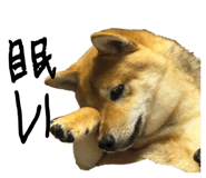 862966694