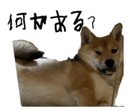 862966695