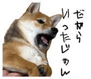 862966696