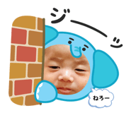 862966884