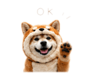 862968977