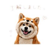 862968978