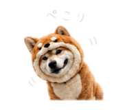 862968980