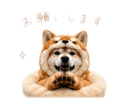 862968982