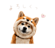 862968983