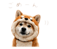 862968985