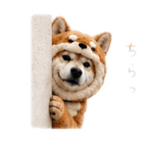 862968986