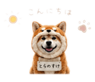 862968987