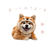 862968988
