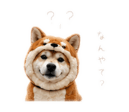 862968989
