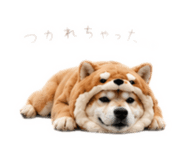 862968990