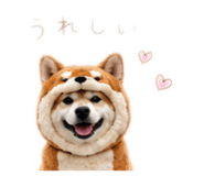 862968992