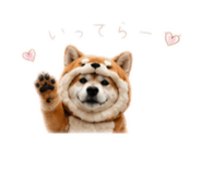 862968996