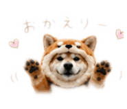 862968997