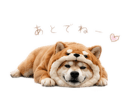 862968998