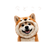 862969000