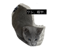 862969362