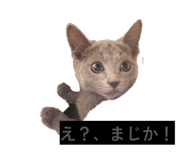 862969363