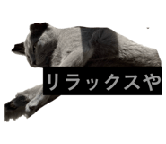 862969365