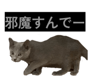862969366